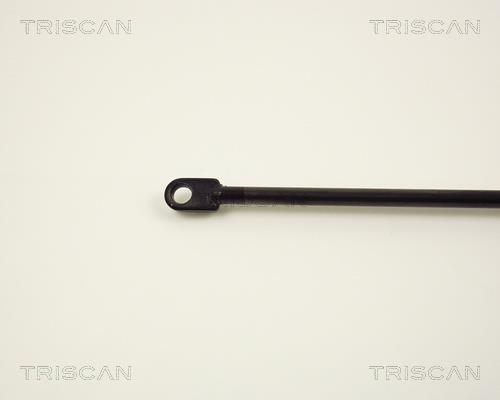 Vérin (Vérin de hayon) Triscan A/S 8710 2914