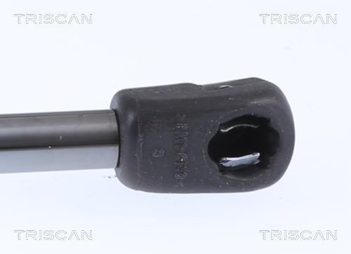 Muelle neumático Triscan A/S ref. 8710 29150