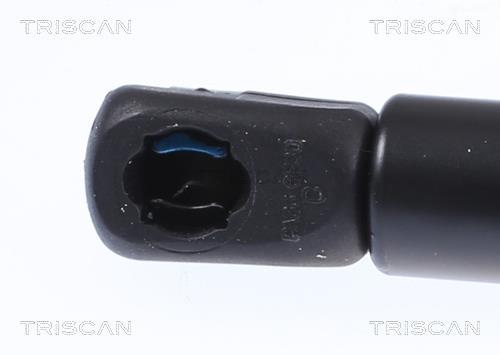 Vérin (Vérin de hayon) Triscan A/S 8710 29151