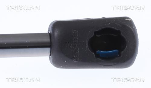 Vérin (Vérin de hayon) Triscan A/S 8710 29151