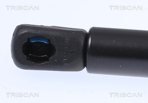 Vérin (Vérin de hayon) Triscan A/S 8710 29152