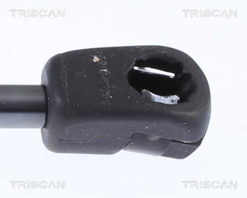 Vérin (Vérin de hayon) Triscan A/S 8710 29152