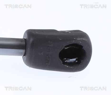 Muelle neumático Triscan A/S ref. 8710 29153