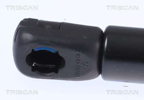 Vérin (Vérin de hayon) Triscan A/S 8710 29154