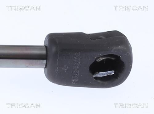 Vérin (Vérin de hayon) Triscan A/S 8710 29154