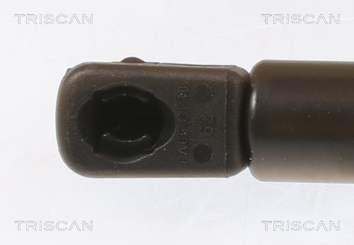 Vérin (Vérin de hayon) Triscan A/S 8710 29155