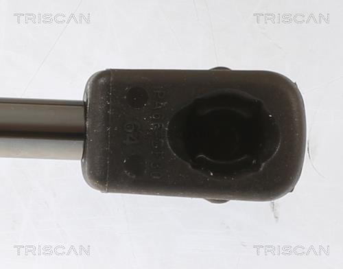 Vérin (Vérin de hayon) Triscan A/S 8710 29155