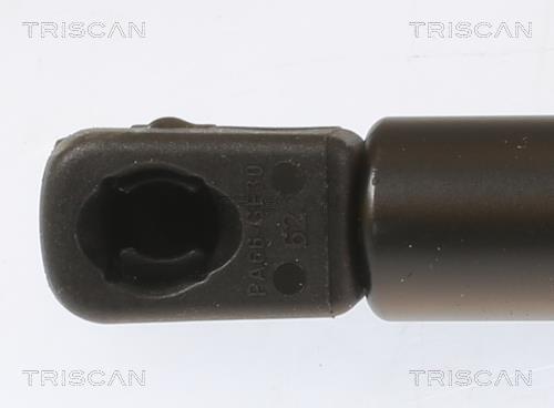 Cilindro Triscan A/S 8710 29156