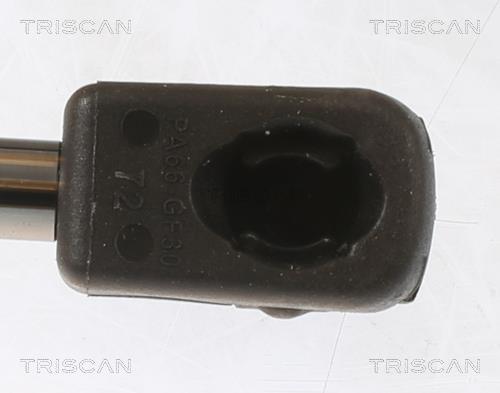 Cilindro Triscan A/S 8710 29156