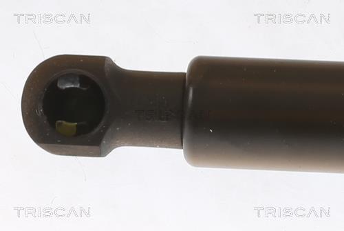 Muelle neumático Triscan A/S ref. 8710 29157
