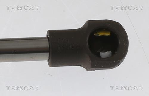 Muelle neumático Triscan A/S ref. 8710 29157