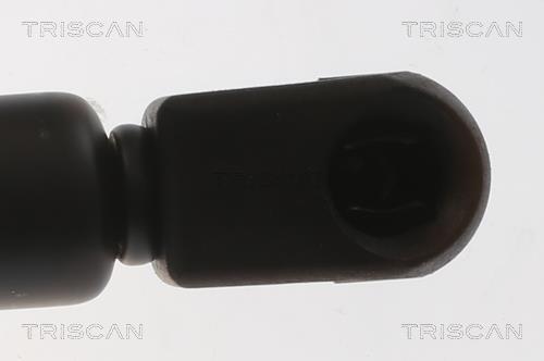 Vérin, capot-moteur Triscan A/S ref. 8710 29159
