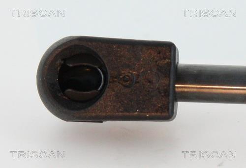Vérin (Vérin de hayon) Triscan A/S ref. 8710 292001