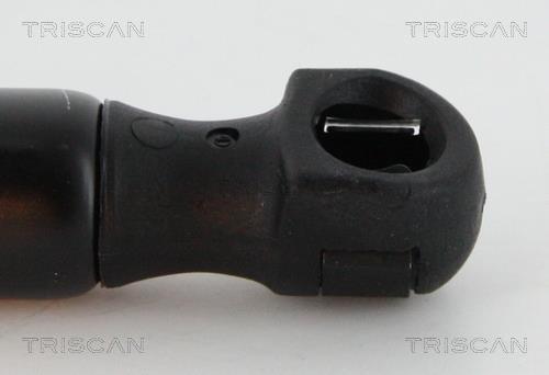 Vérin (Vérin de hayon) Triscan A/S ref. 8710 292001