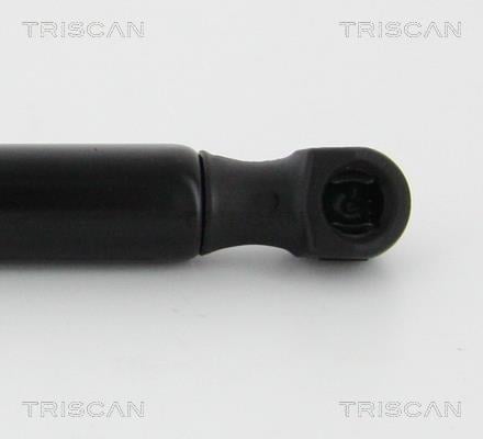 Vérin (Vérin de hayon) Triscan A/S 8710 292002
