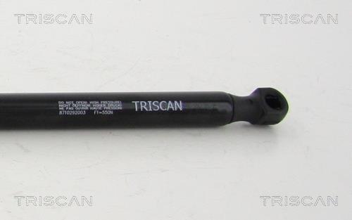 Vérin (Vérin de hayon) Triscan A/S 8710 292003