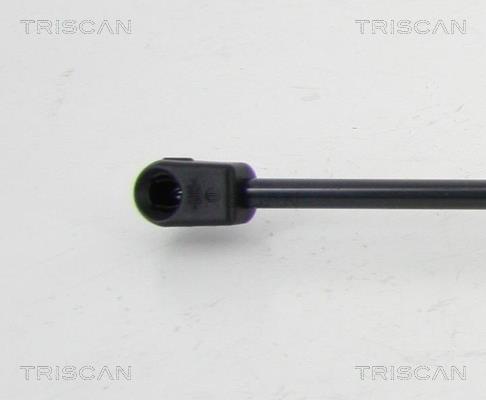 Vérin (Vérin de hayon) Triscan A/S 8710 292004