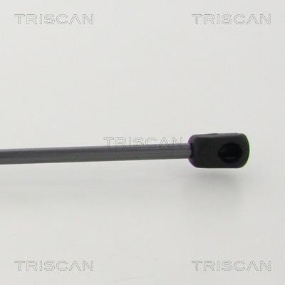 Muelle neumático Triscan A/S ref. 8710 292016