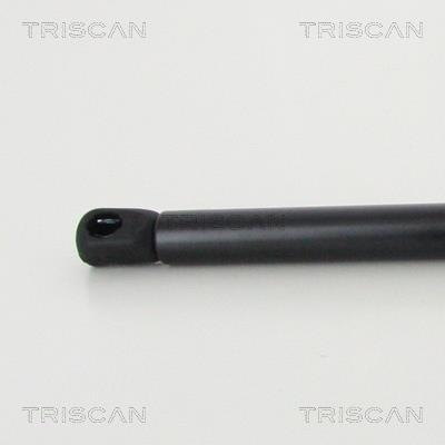 Muelle neumático Triscan A/S ref. 8710 292016