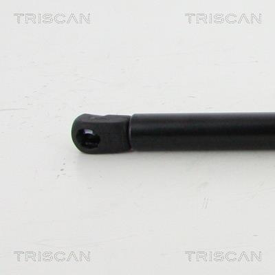 Muelle neumático Triscan A/S ref. 8710 292017