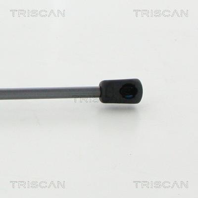 Muelle neumático Triscan A/S ref. 8710 292017