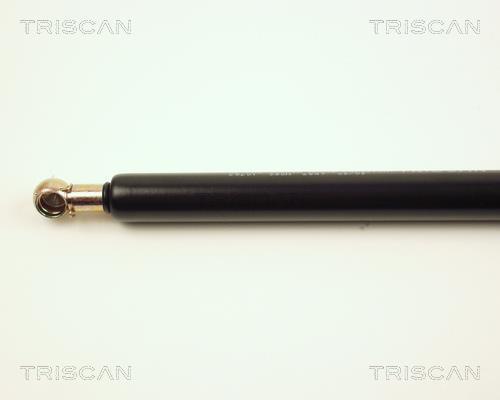 Vérin (Vérin de hayon) Triscan A/S 8710 29201
