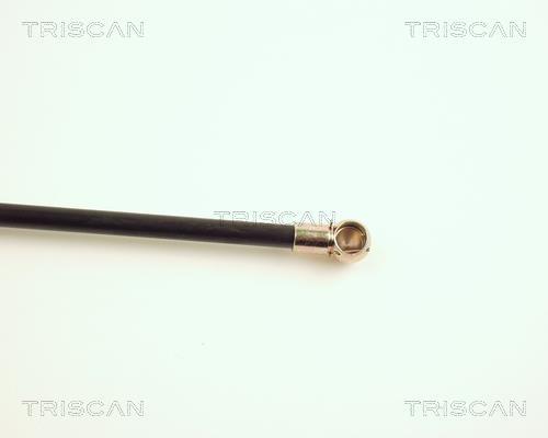 Vérin (Vérin de hayon) Triscan A/S 8710 29201