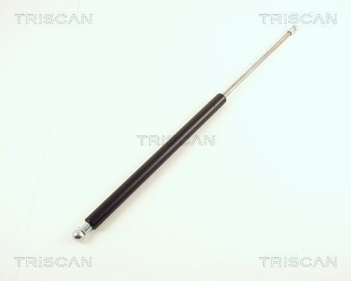 Vérin (Vérin de hayon) Triscan A/S 8710 29202