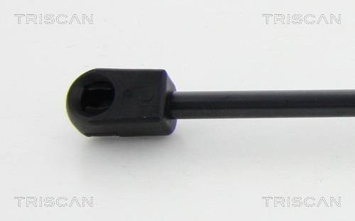 Vérin (Vérin de hayon) Triscan A/S ref. 8710 80103