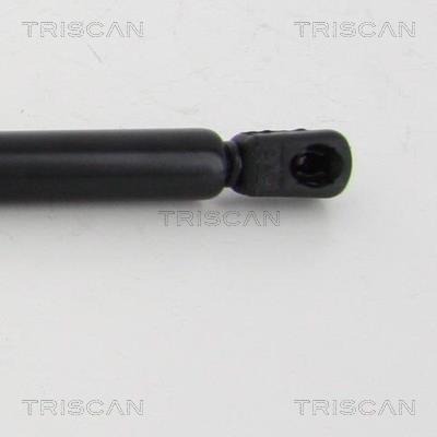 Vérin (Vérin de hayon) Triscan A/S 8710 292024