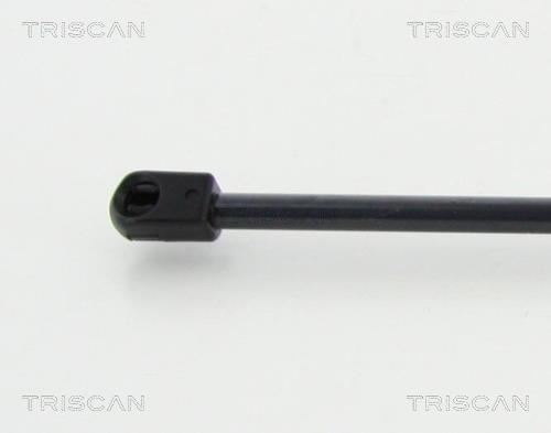 Vérin (Vérin de hayon) Triscan A/S 8710 292026