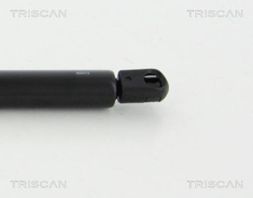 Vérin (Vérin de hayon) Triscan A/S 8710 292026