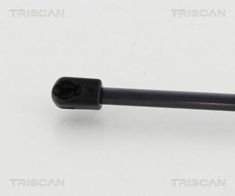 Vérin (Vérin de hayon) Triscan A/S 8710 292027