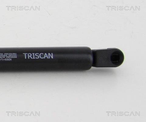 Vérin (Vérin de hayon) Triscan A/S 8710 292027