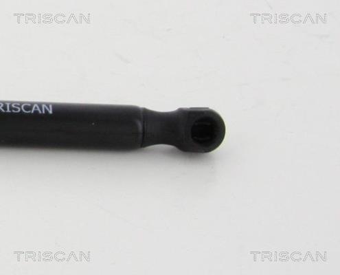 Vérin (Vérin de hayon) Triscan A/S 8710 292028