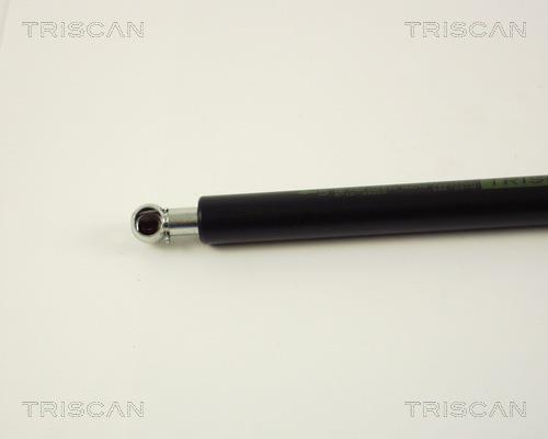 Vérin (Vérin de hayon) Triscan A/S 8710 29202