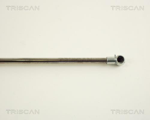 Vérin (Vérin de hayon) Triscan A/S 8710 29202