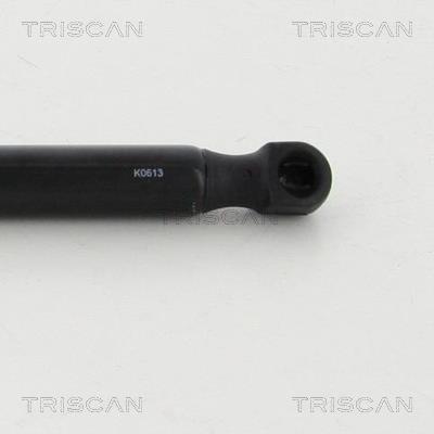 Vérin (Vérin de hayon) Triscan A/S 8710 292030