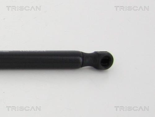 Vérin (Vérin de hayon) Triscan A/S 8710 292032