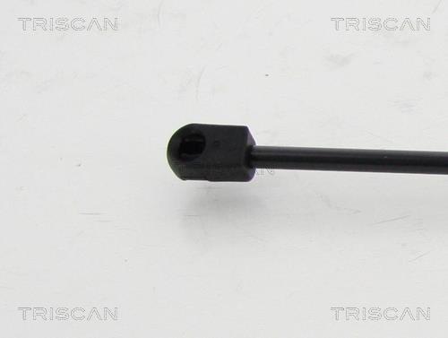 Vérin (Vérin de hayon) Triscan A/S 8710 292032