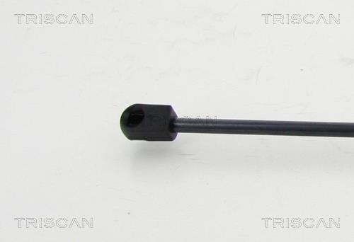 Vérin (Vérin de hayon) Triscan A/S 8710 292033