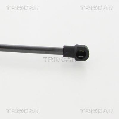 Vérin (Vérin de hayon) Triscan A/S 8710 292035
