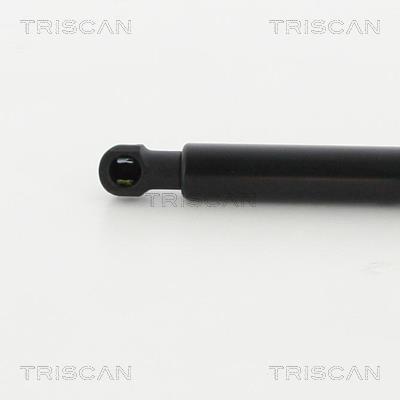 Vérin (Vérin de hayon) Triscan A/S 8710 292035