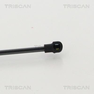 Vérin (Vérin de hayon) Triscan A/S 8710 292037