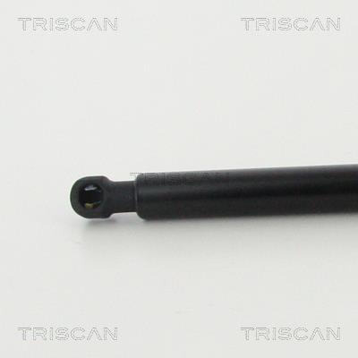 Vérin (Vérin de hayon) Triscan A/S 8710 292037