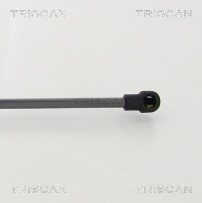 Vérin (Vérin de hayon) Triscan A/S 8710 292038