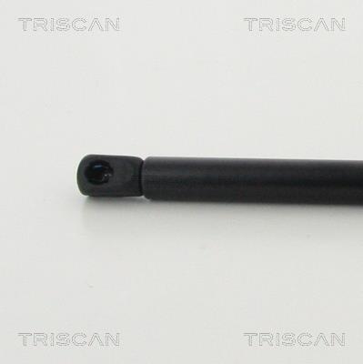 Vérin (Vérin de hayon) Triscan A/S 8710 292038