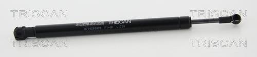 Vérin (Vérin de hayon) Triscan A/S 8710 292039