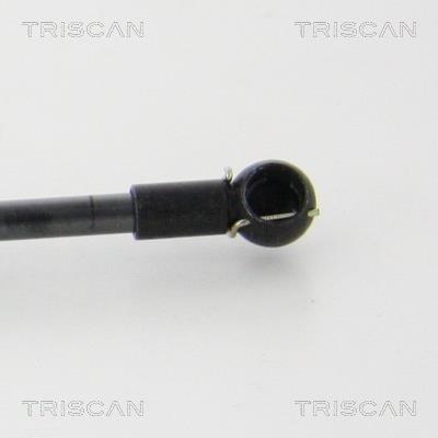 Vérin (Vérin de hayon) Triscan A/S 8710 292039