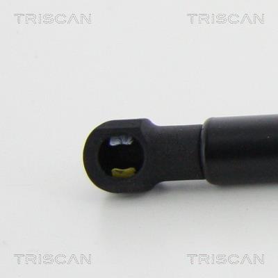 Vérin (Vérin de hayon) Triscan A/S 8710 292039